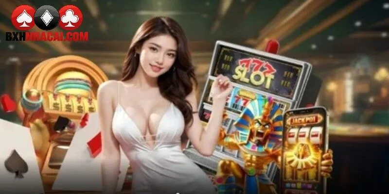 Bonus Nhà Cái Và Vòng Cược - Cách Đọc Điều Kiện Chuẩn