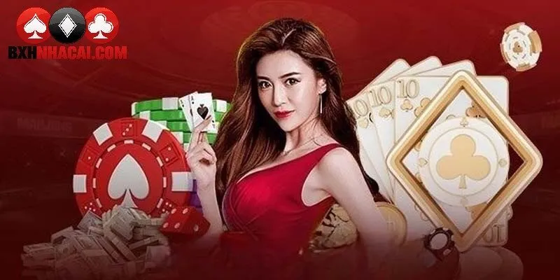 Nhà cái cho người mới cần hướng dẫn
