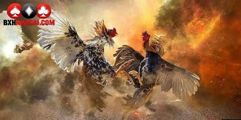 Quy định địa phương quyết định quyền tham gia